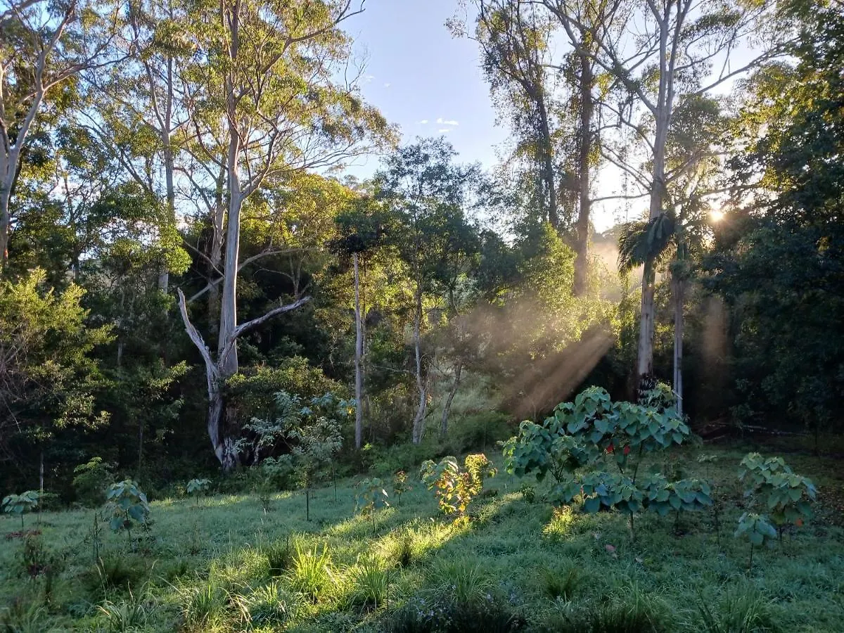 Vila Hideaway Falls - Bunya Cottage Mapleton