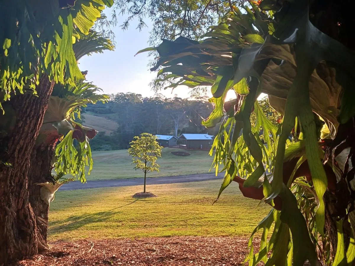 Hideaway Falls - Bunya Cottage Mapleton 0*,